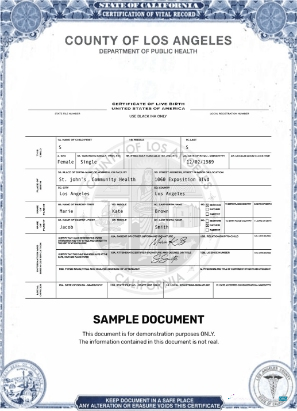 Download USA Los Angeles certificate of live birth Photoshop template